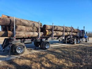 Logs leaving the lot